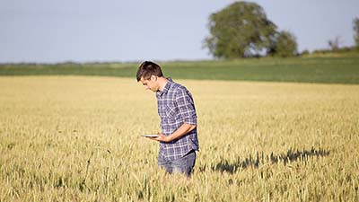 Exploitants agricoles : zoom sur les régimes obligatoires Atexa et Amexa
