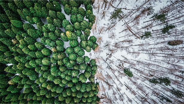 Une stratégie d’investissement liée à la biodiversité