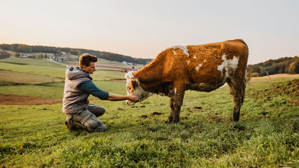 Exploitant agricole, protégez votre santé et celle de votre famille